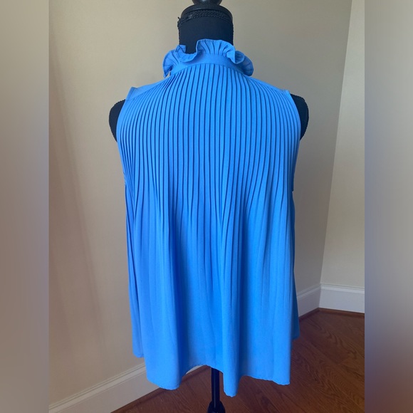 Ann Taylor Loft sleeveless pleated swing blouse with tassels Size XS - Picture 5 of 5